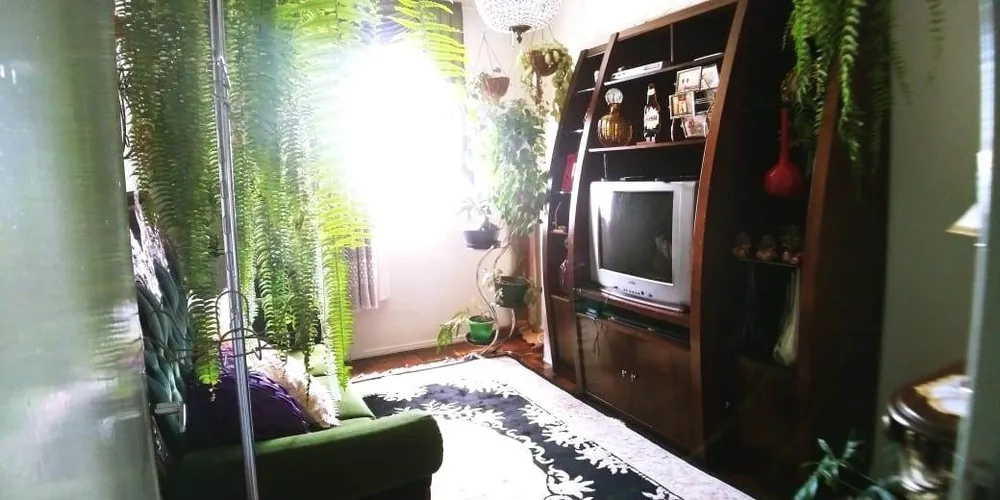 Apartamento, 2 quartos, 65 m² - Foto 3