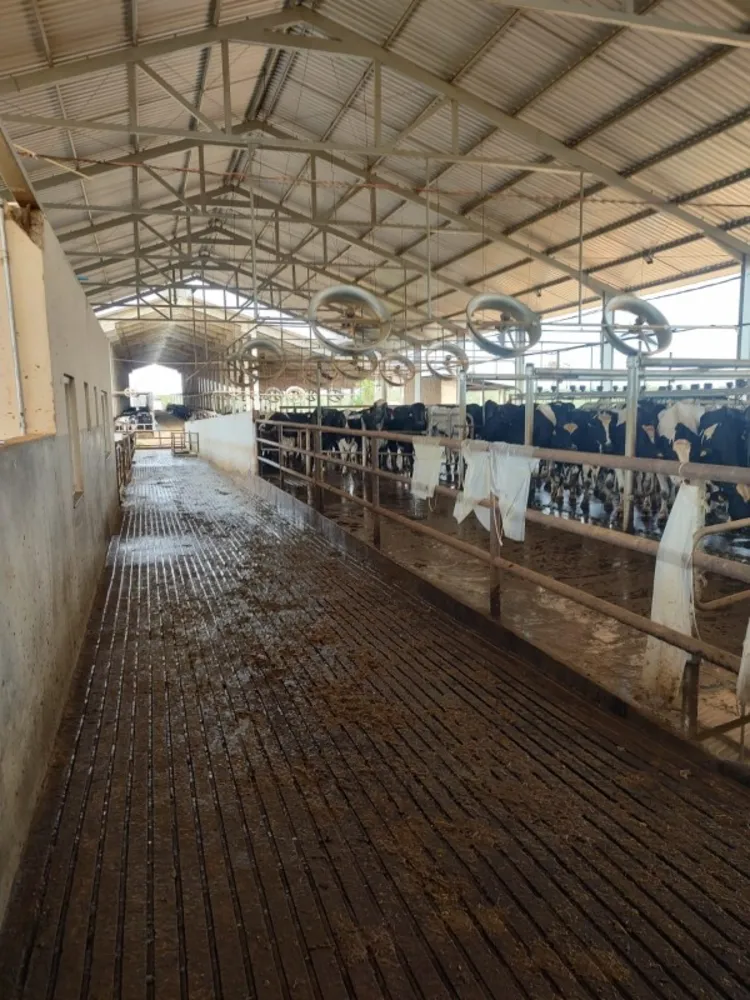 Fazenda, 795 hectares - Foto 9