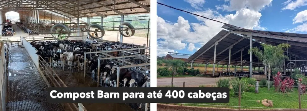 Fazenda, 795 hectares - Foto 1