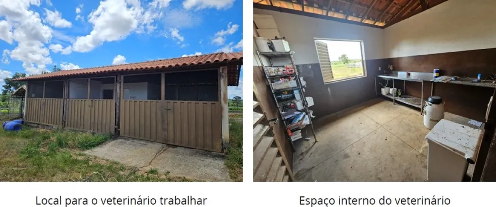 Fazenda, 795 hectares - Foto 3