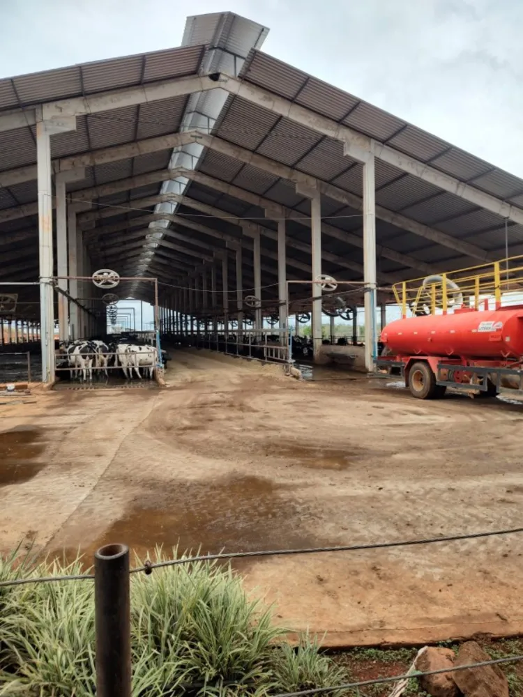 Fazenda, 795 hectares - Foto 11