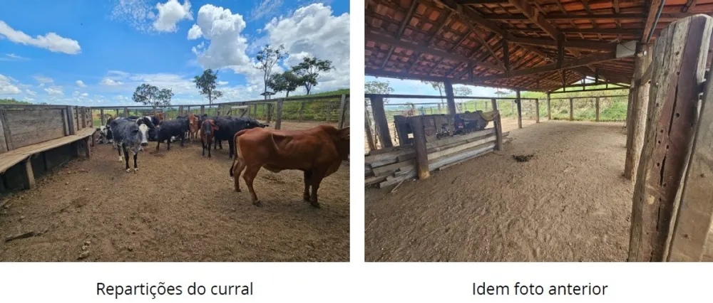 Fazenda, 795 hectares - Foto 3