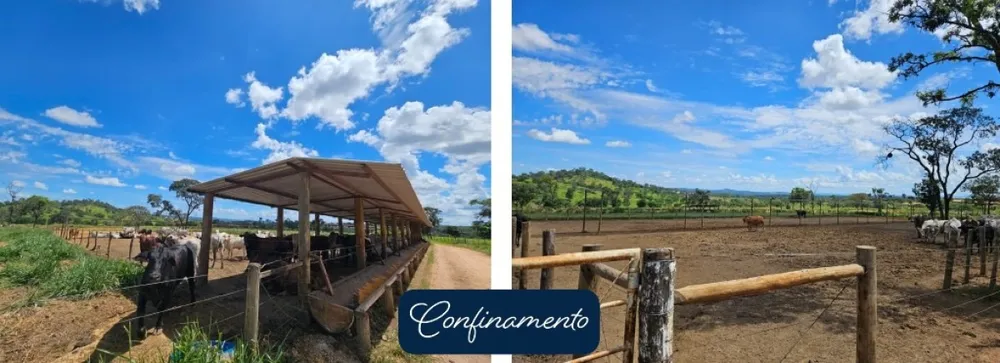 Fazenda, 795 hectares - Foto 1