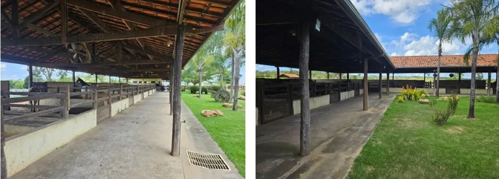 Fazenda, 795 hectares - Foto 2