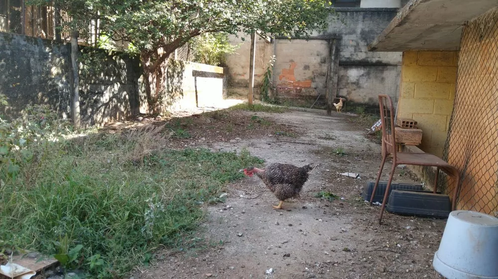 Casa à venda com 5 quartos, 360m² - Foto 8