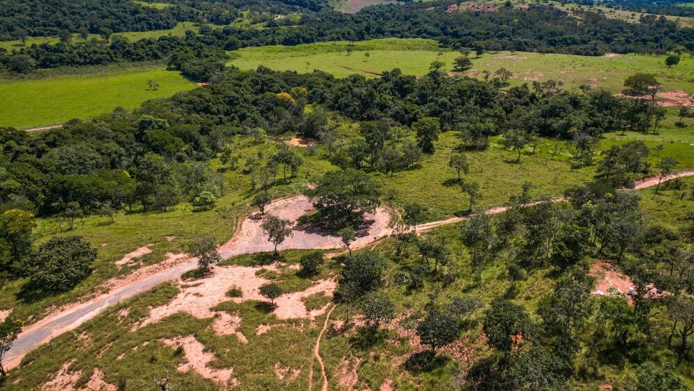 Terreno à venda com 1 quarto, 20000m² - Foto 4
