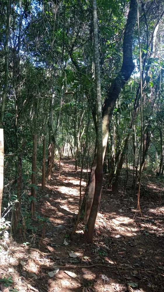 Loja-Salão, 250000 m² - Foto 2