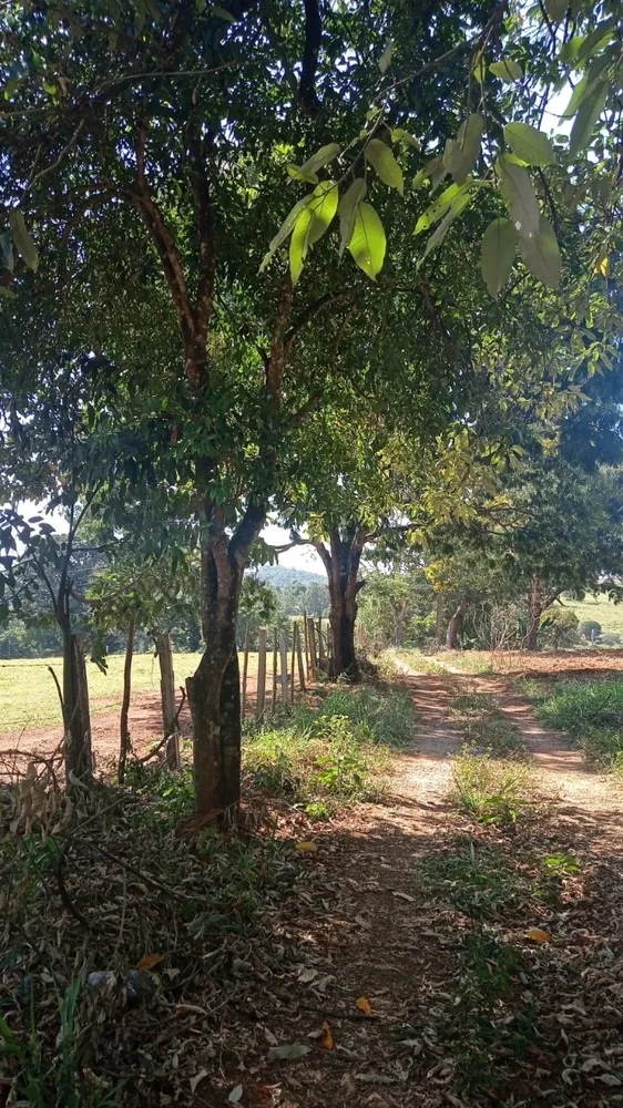 Loja-Salão, 250000 m² - Foto 4