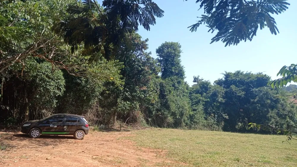 Loja-Salão, 250000 m² - Foto 3