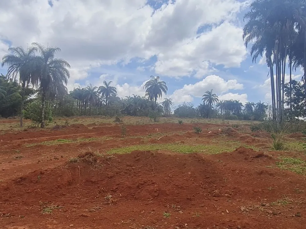 Terreno - Foto 2