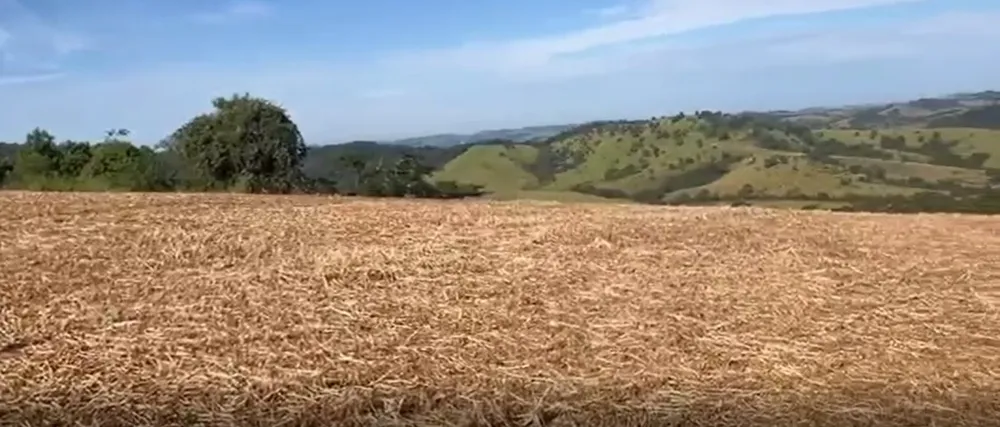 Fazenda, 722 hectares - Foto 6