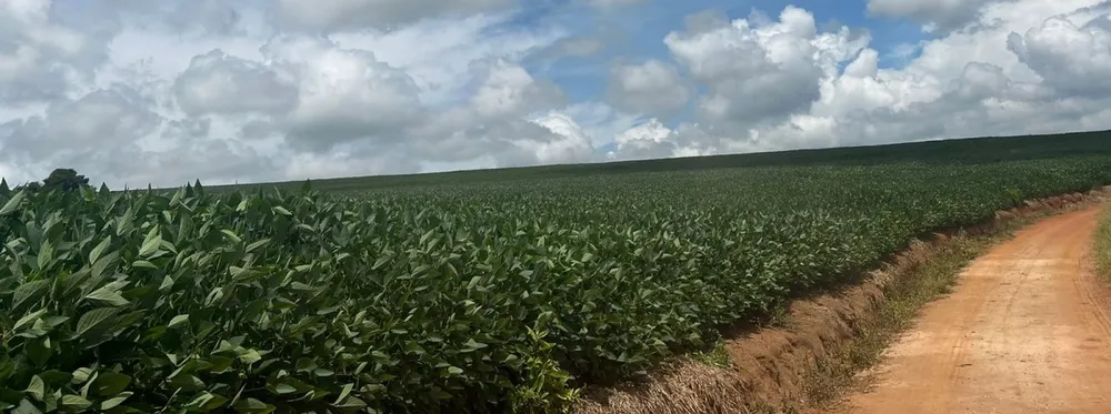 Fazenda, 722 hectares - Foto 7