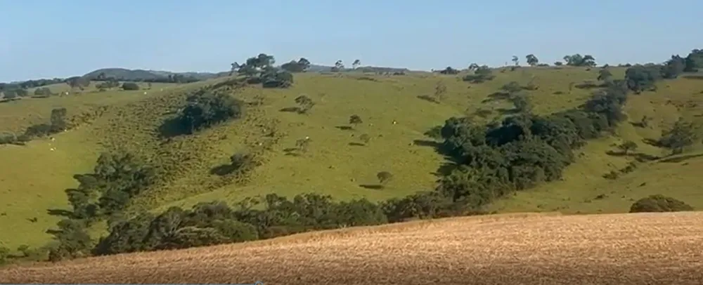 Fazenda, 722 hectares - Foto 2