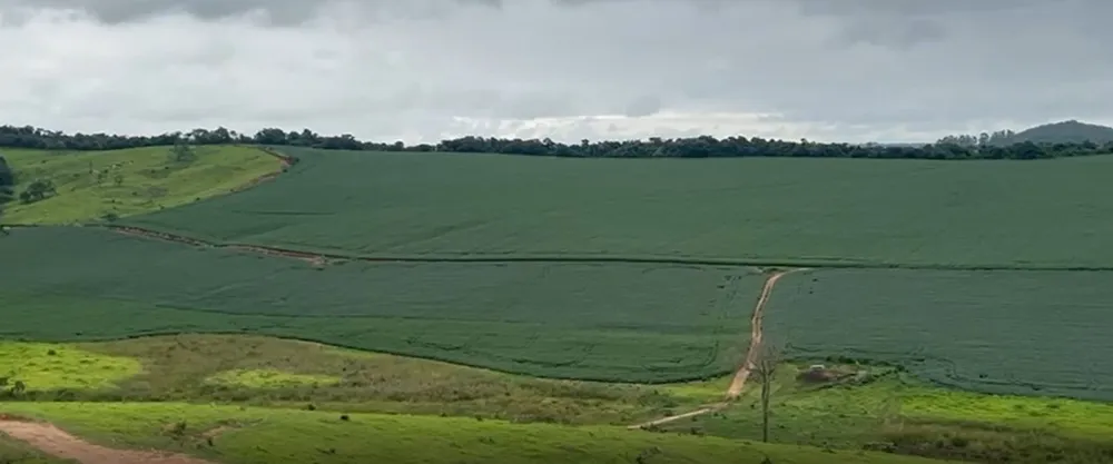 Fazenda, 722 hectares - Foto 3