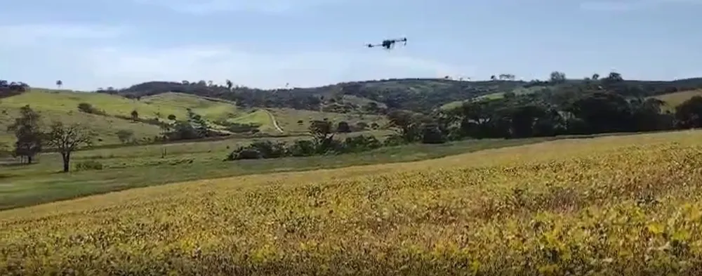 Fazenda, 722 hectares - Foto 4