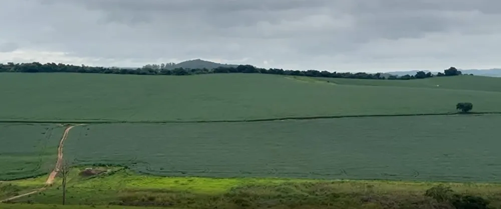 Fazenda, 722 hectares - Foto 1