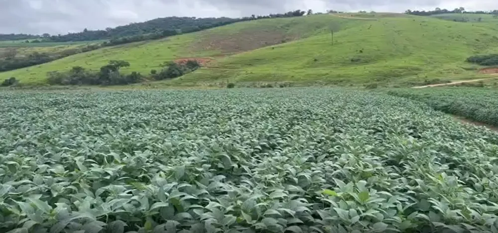 Fazenda, 722 hectares - Foto 8