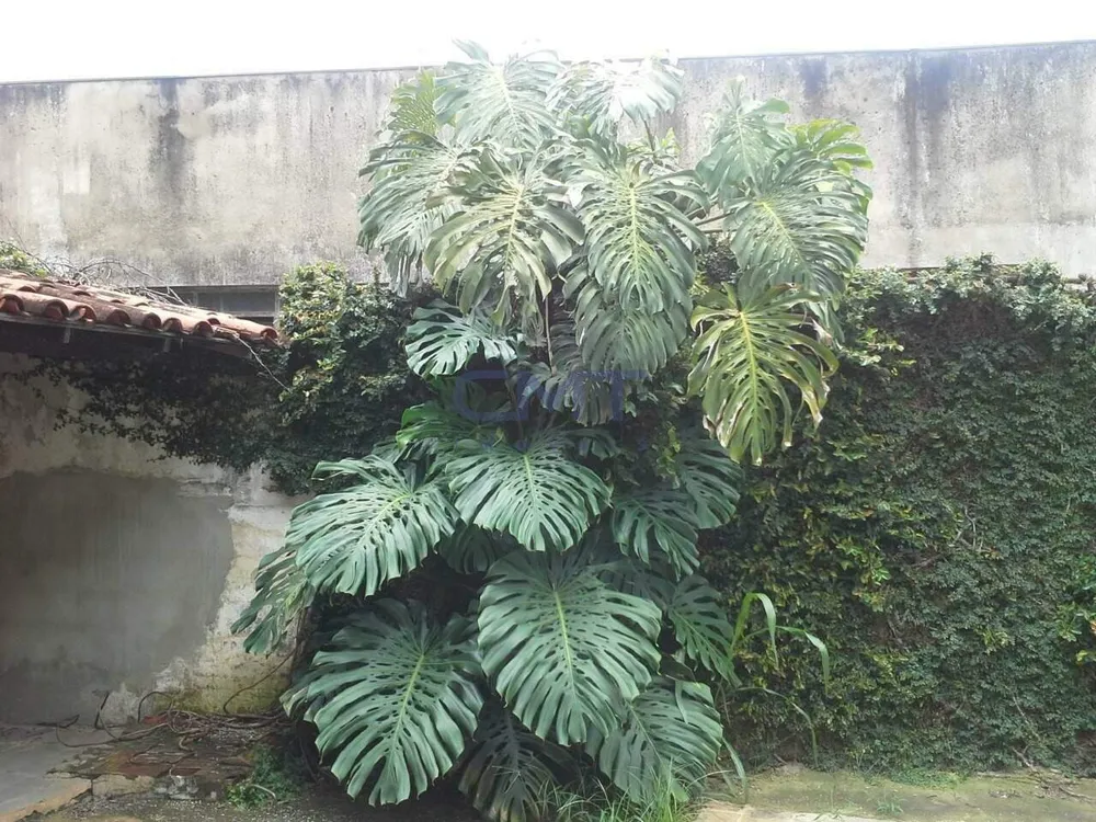 Terreno, 500 m² - Foto 9