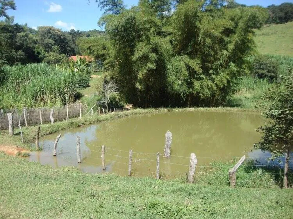 Fazenda, 3 quartos - Foto 11
