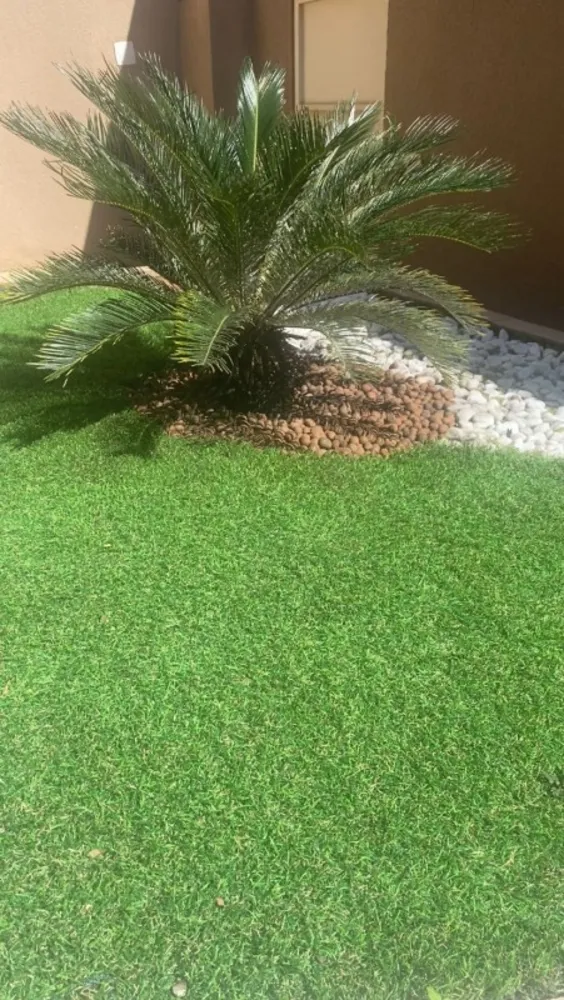 Casa, 3 quartos, 360 m² - Foto 19