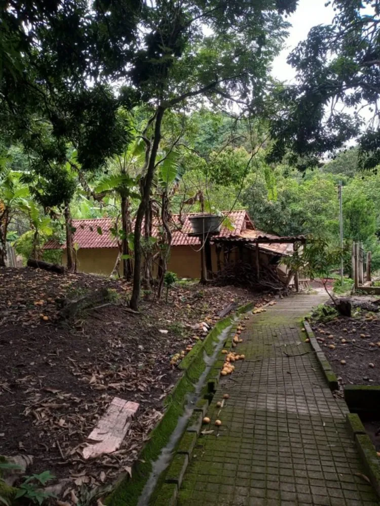 Chácara, 4 quartos - Foto 4