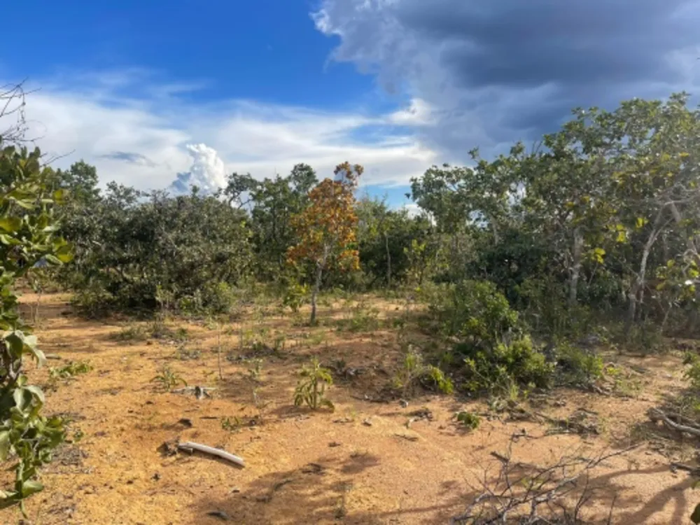 Terreno, 1000 m² - Foto 4