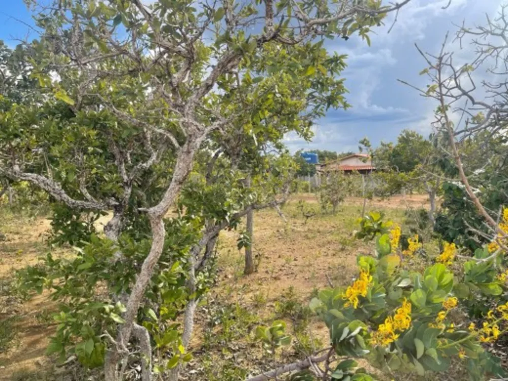 Terreno, 1000 m² - Foto 3
