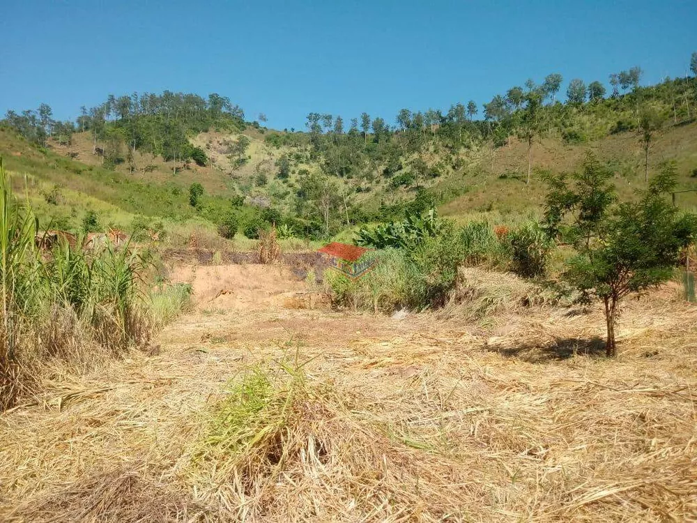 Chácara à venda com 1 quarto, 2000m² - Foto 5