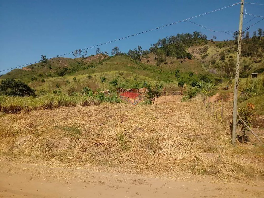 Chácara à venda com 1 quarto, 2000m² - Foto 6