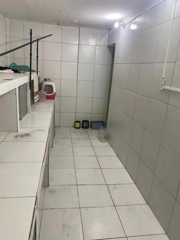 Casa, 4 quartos, 392 m² - Foto 6