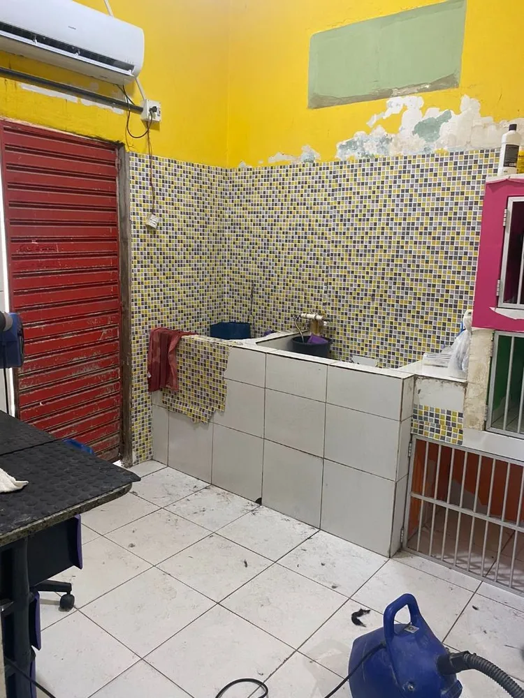 Casa, 4 quartos, 392 m² - Foto 5