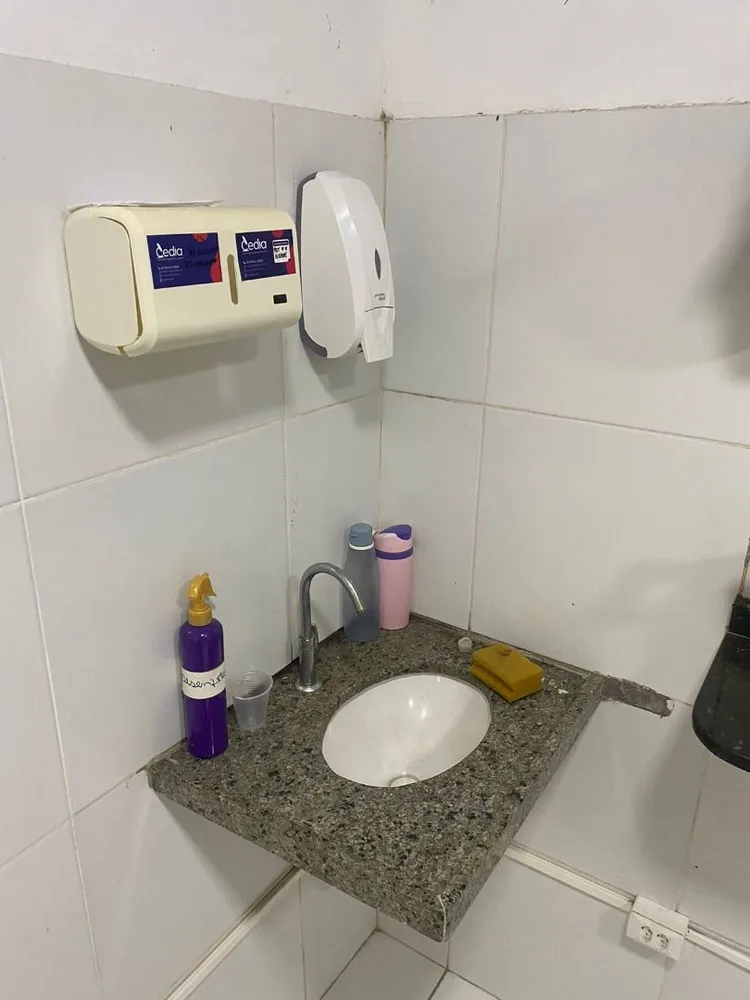 Casa, 4 quartos, 392 m² - Foto 11