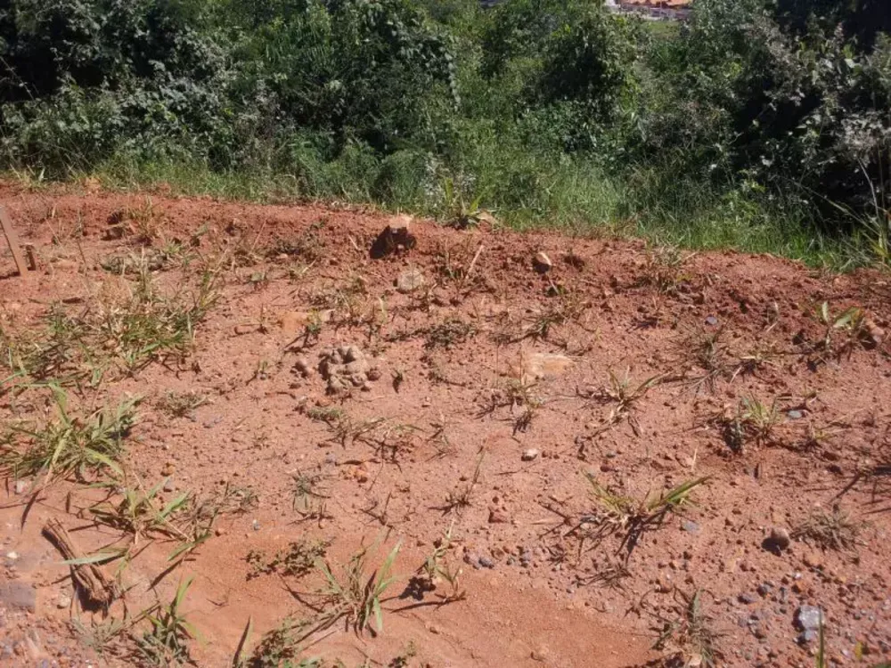 Terreno, 360 m² - Foto 5