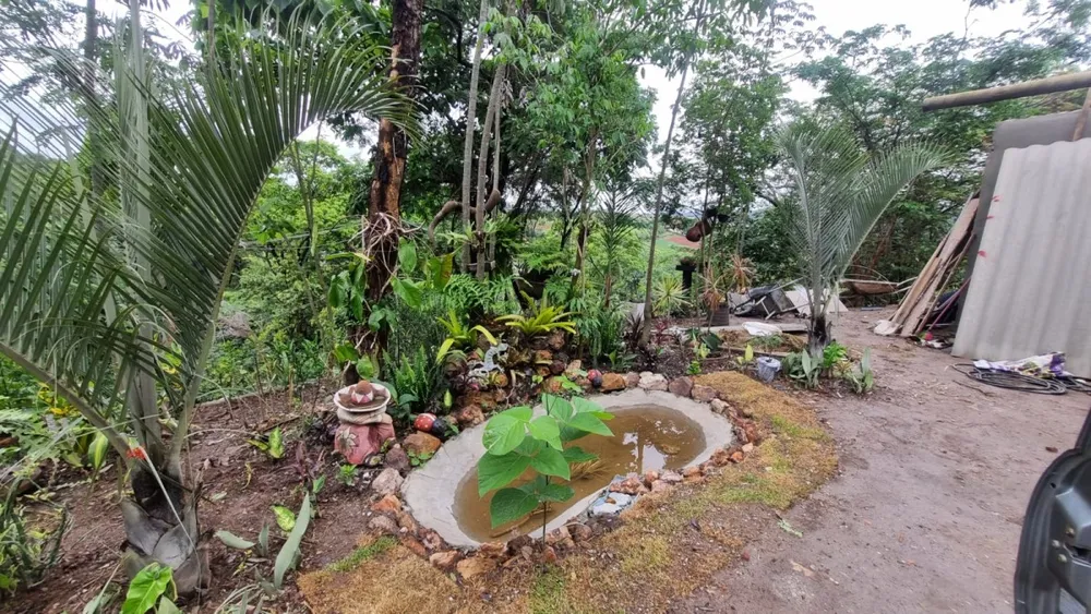 Chácara, 1 quarto, 4000 m² - Foto 1