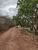 Chácara, 1 quarto - Foto 3