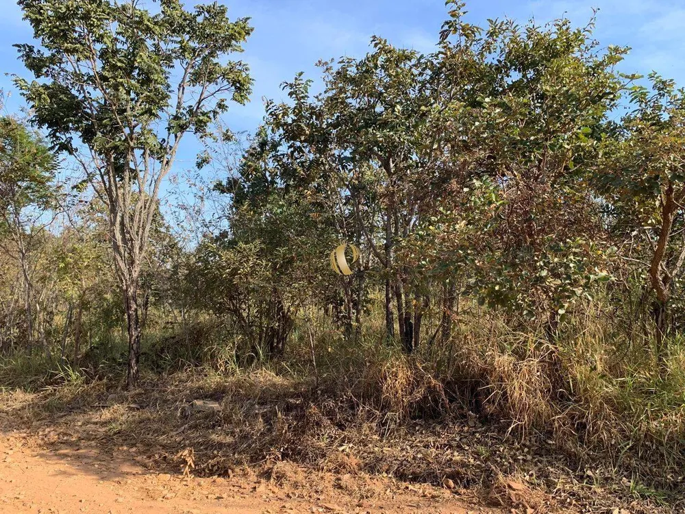 Terreno, 5000 m² - Foto 6