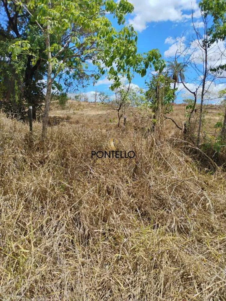 Terreno, 2 hectares - Foto 4