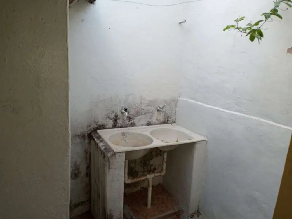 Casa, 3 quartos, 290 m² - Foto 7