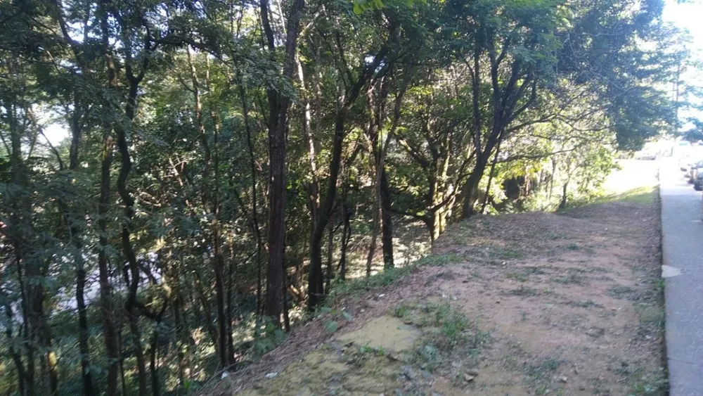 Terreno, 100 m² - Foto 7