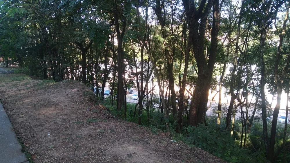 Terreno, 100 m² - Foto 3