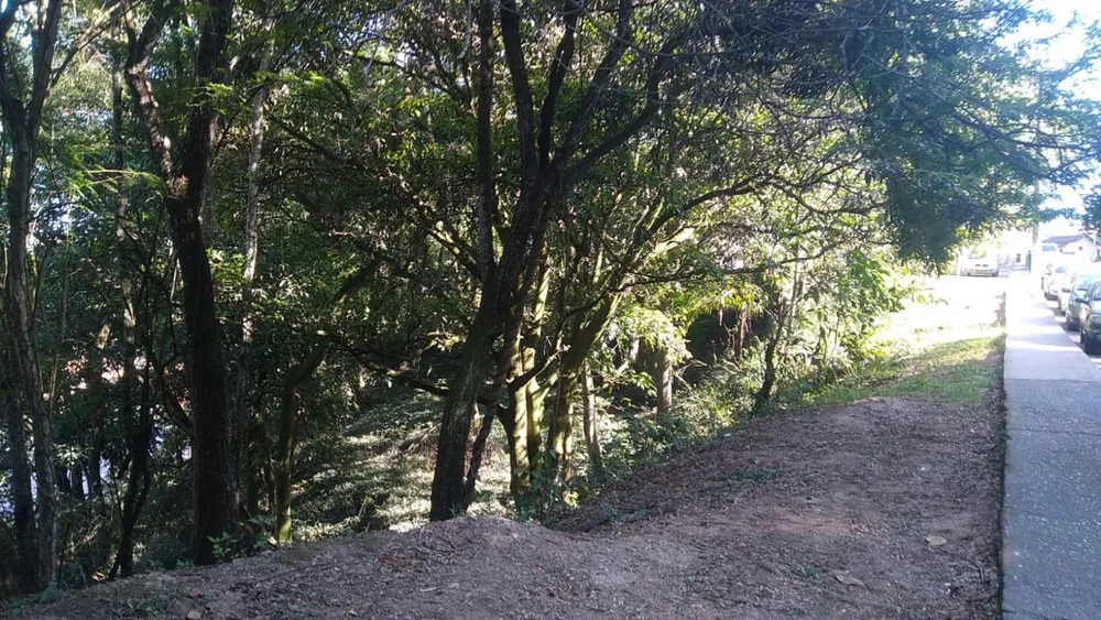 Terreno, 100 m² - Foto 4