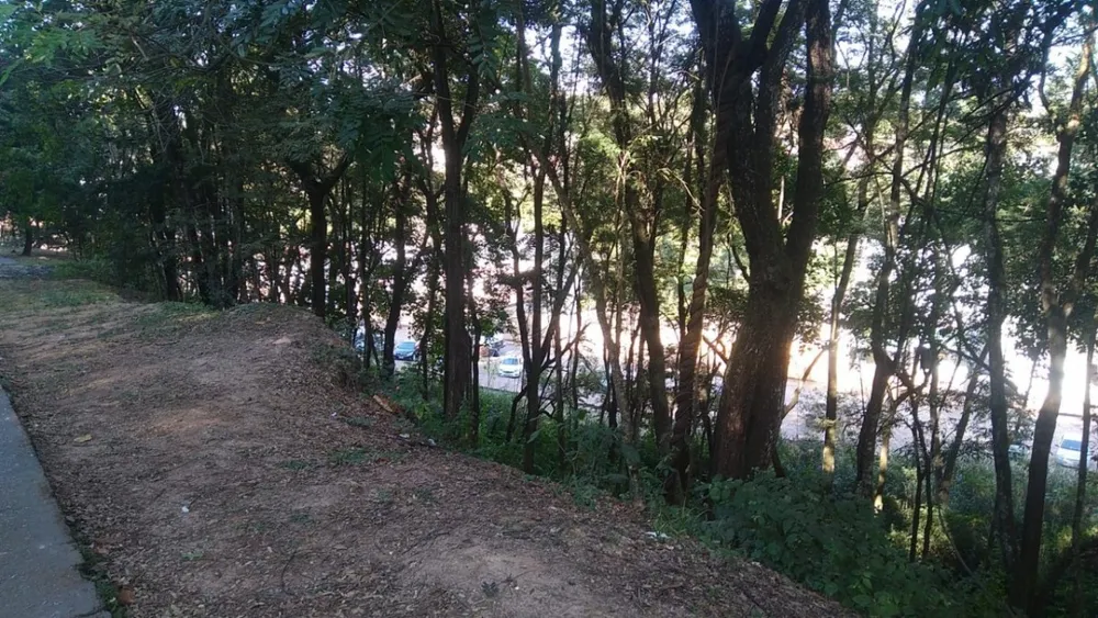 Terreno, 100 m² - Foto 8