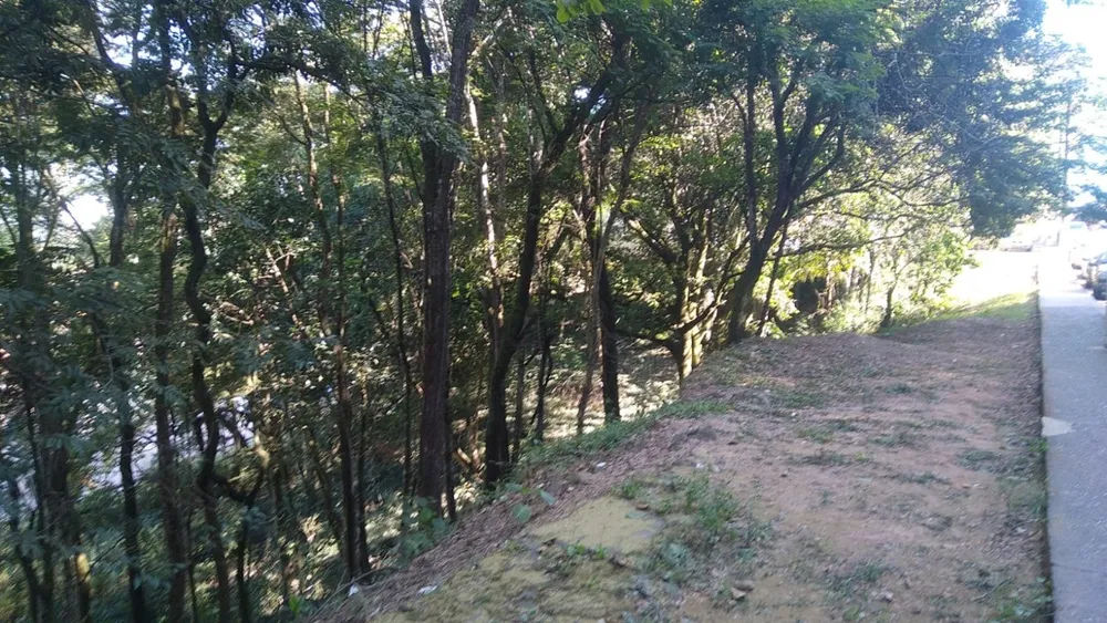 Terreno, 100 m² - Foto 2