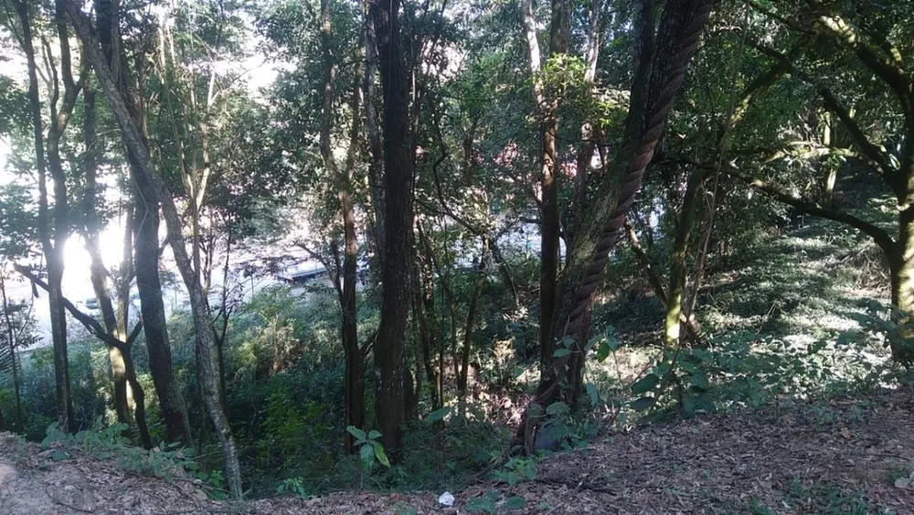 Terreno, 100 m² - Foto 6