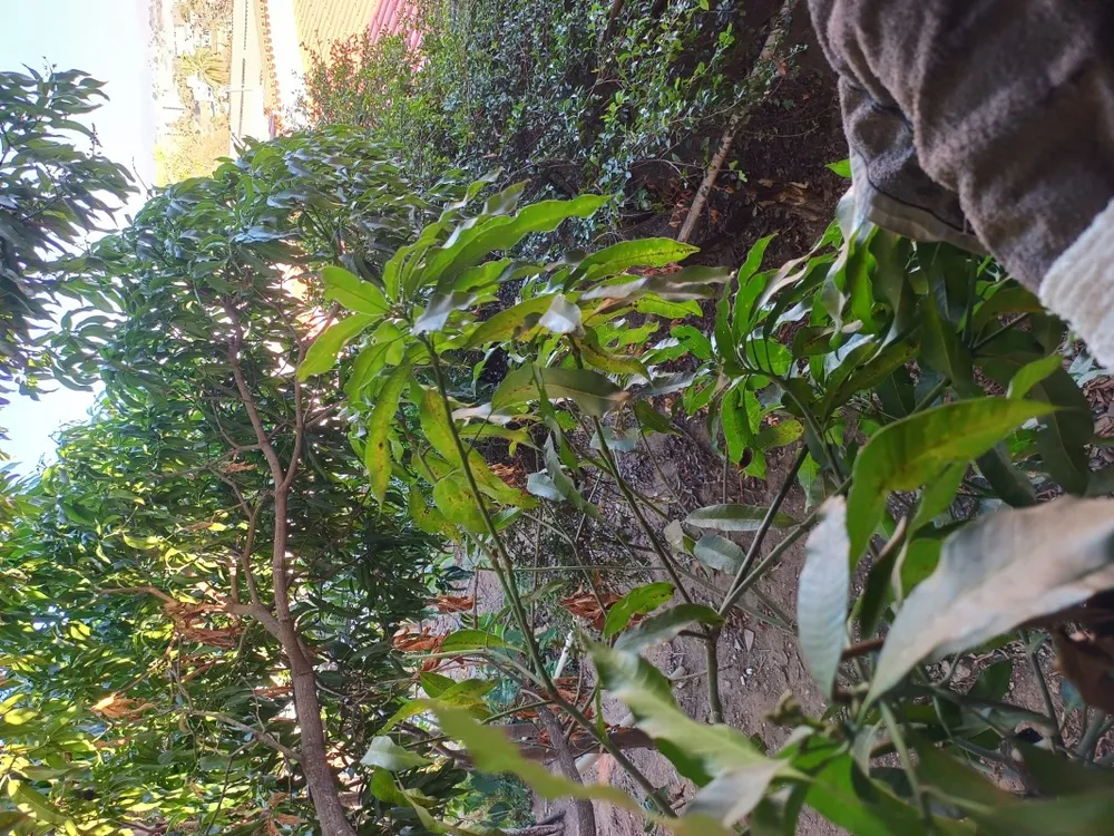 Casa, 2 quartos, 80 m² - Foto 11