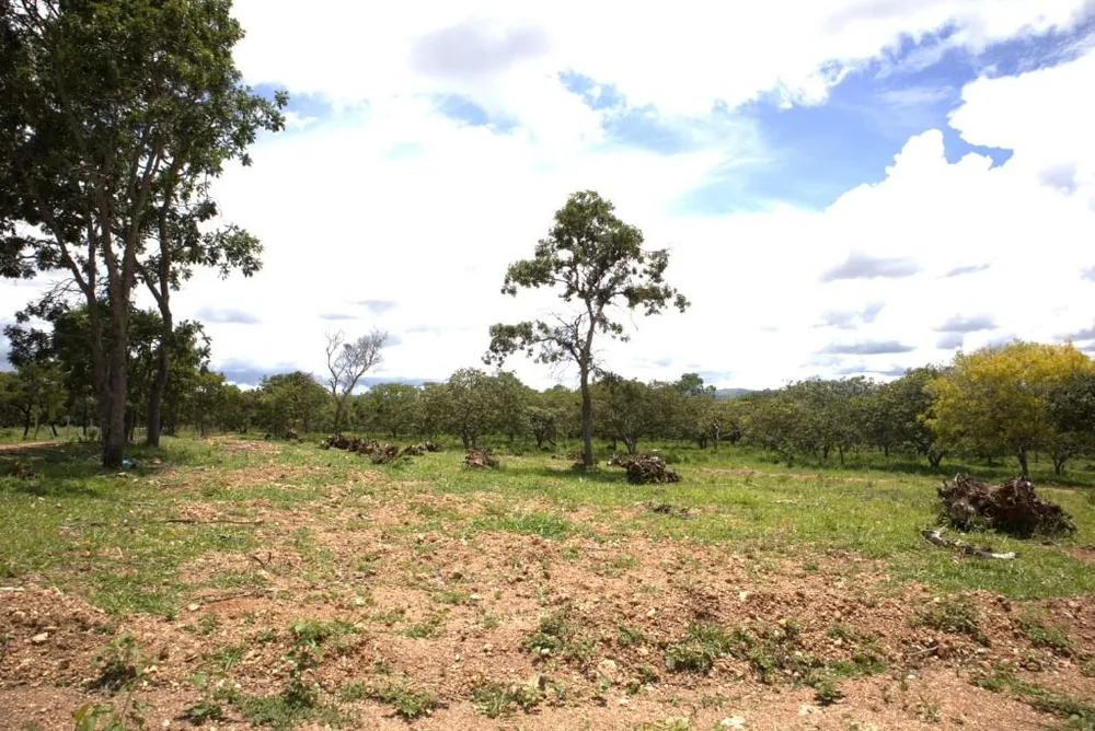 Terreno - Foto 6