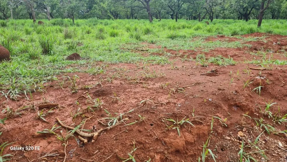 Terreno - Foto 5