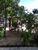 Terreno, 1500 m² - Foto 3