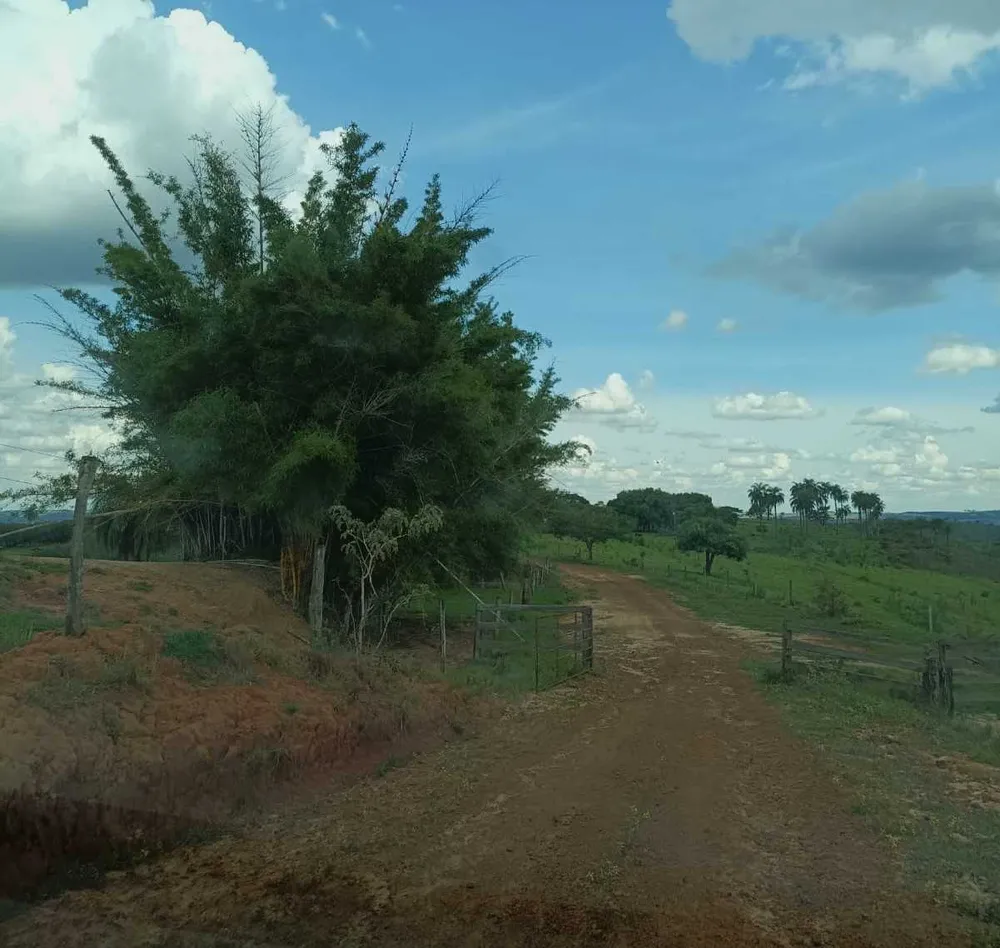 Fazenda, 718 hectares - Foto 5
