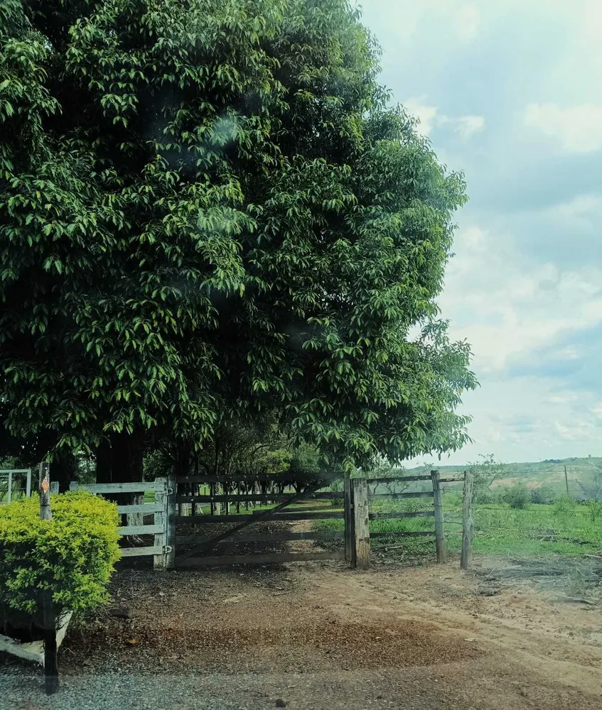 Fazenda, 718 hectares - Foto 6